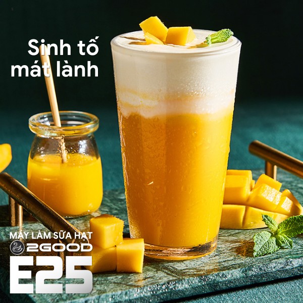 Máy Làm Sữa Hạt 2GOOD E25 (1,75 Lít)