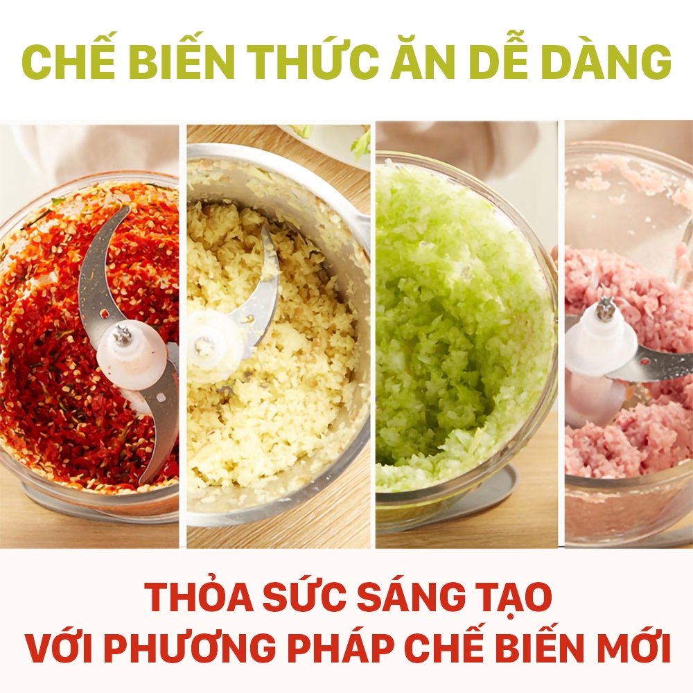 Máy xay thịt 2Good RCR